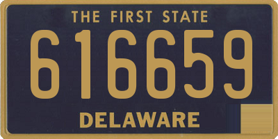 DE license plate 616659
