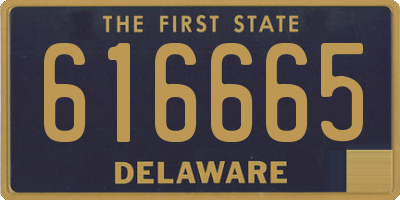 DE license plate 616665