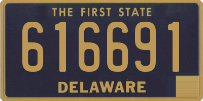 DE license plate 616691