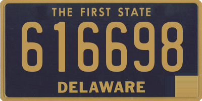 DE license plate 616698