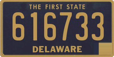 DE license plate 616733