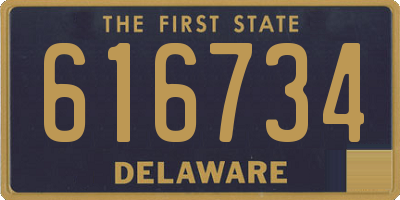 DE license plate 616734