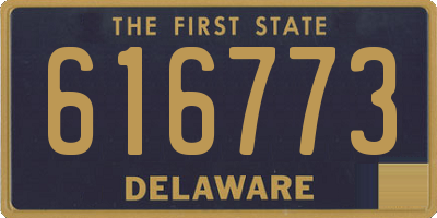 DE license plate 616773