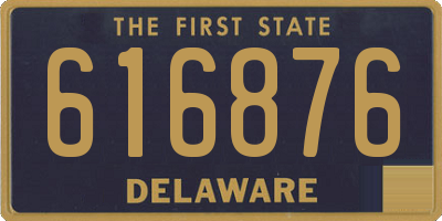 DE license plate 616876
