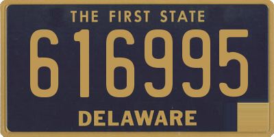 DE license plate 616995