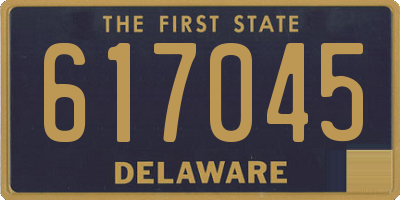 DE license plate 617045