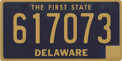 DE license plate 617073
