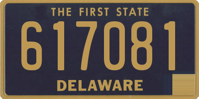 DE license plate 617081