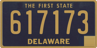 DE license plate 617173
