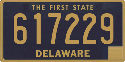 DE license plate 617229