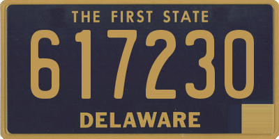 DE license plate 617230