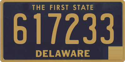 DE license plate 617233