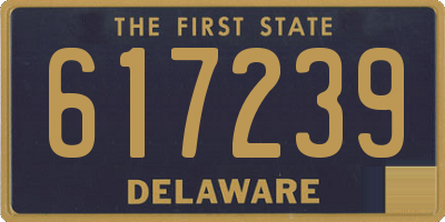 DE license plate 617239