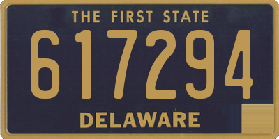 DE license plate 617294
