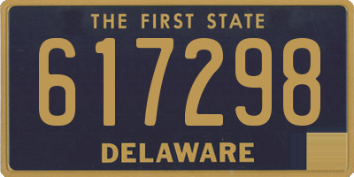 DE license plate 617298