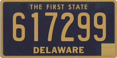 DE license plate 617299