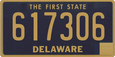 DE license plate 617306