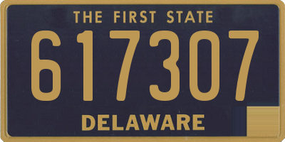 DE license plate 617307