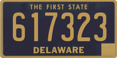 DE license plate 617323