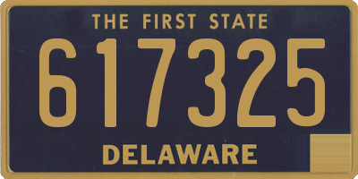 DE license plate 617325