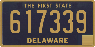 DE license plate 617339