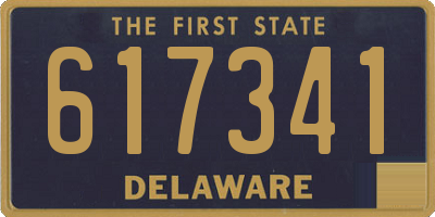 DE license plate 617341