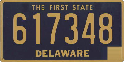 DE license plate 617348