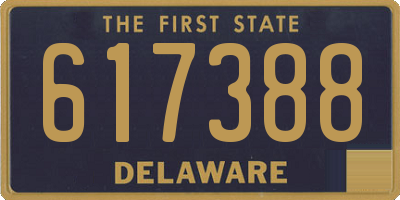 DE license plate 617388