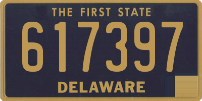 DE license plate 617397