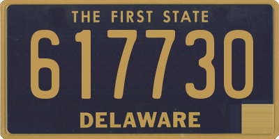 DE license plate 617730