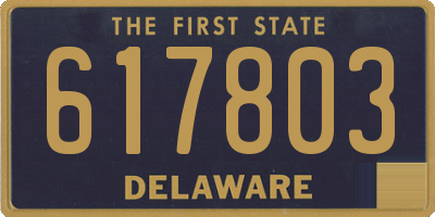 DE license plate 617803