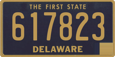 DE license plate 617823