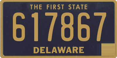 DE license plate 617867