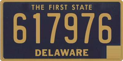 DE license plate 617976