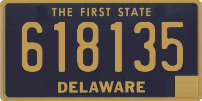 DE license plate 618135
