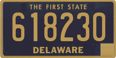 DE license plate 618230
