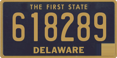 DE license plate 618289