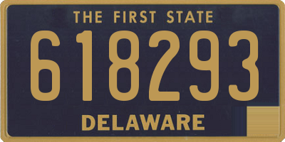 DE license plate 618293