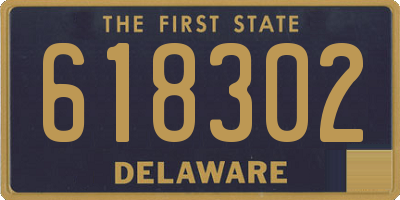 DE license plate 618302