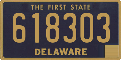 DE license plate 618303