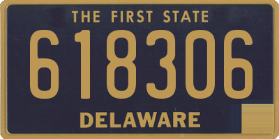 DE license plate 618306