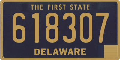 DE license plate 618307