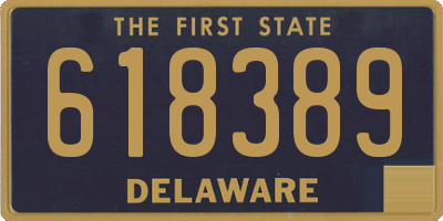DE license plate 618389