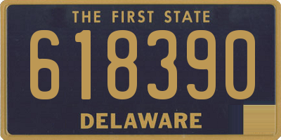 DE license plate 618390