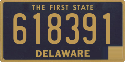 DE license plate 618391