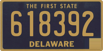DE license plate 618392