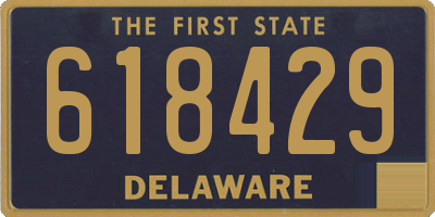 DE license plate 618429