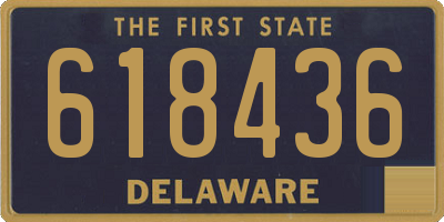 DE license plate 618436