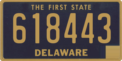 DE license plate 618443
