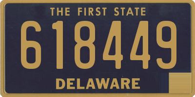 DE license plate 618449